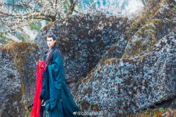 Картинка мужчины -+креатив +косплей мужчина костюм камни дерево цветение