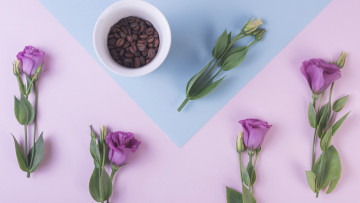 Картинка еда кофе +кофейные+зёрна эустома зерна