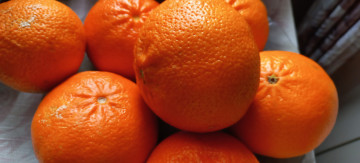 обоя еда, цитрусы, мандарины