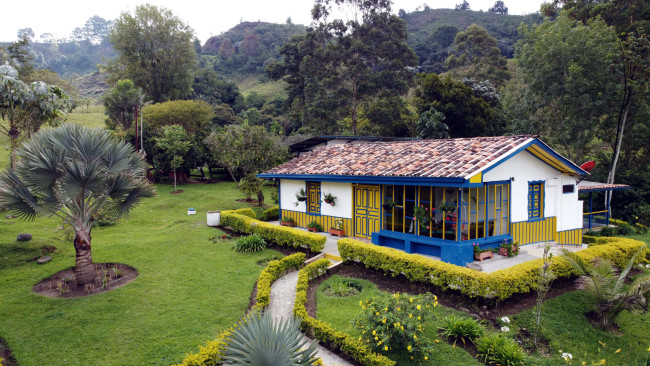 Обои картинки фото города, - здания,  дома, пальмы, жилой, дом, лужайка