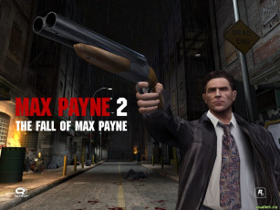 Картинка max pain видео игры payne the fall of