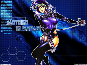 Картинка аниме ghost in the shell