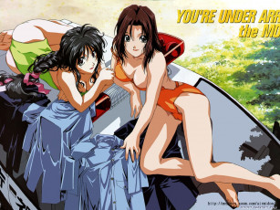 обоя аниме, you`re, under, arrest