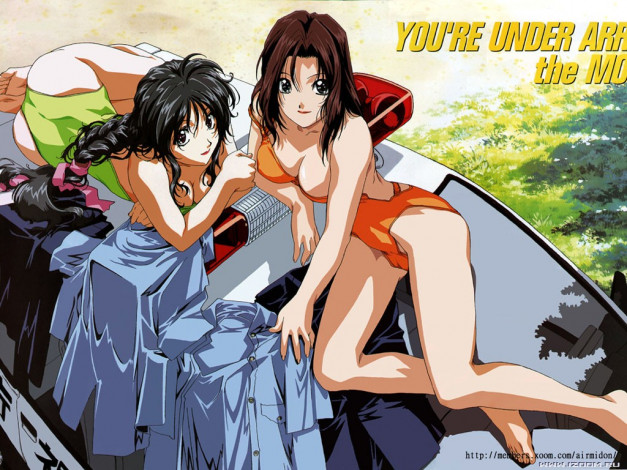 Обои картинки фото аниме, you`re, under, arrest