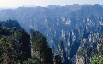 Картинка природа