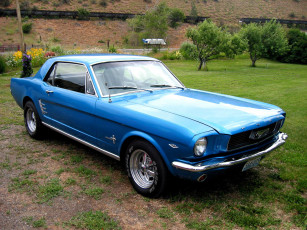 Картинка автомобили mustang