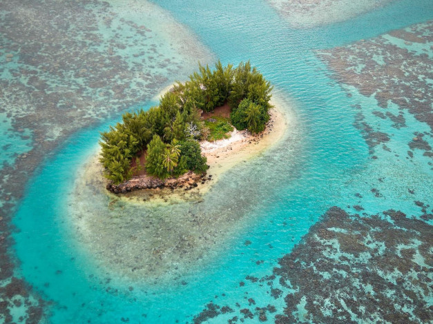 Обои картинки фото 