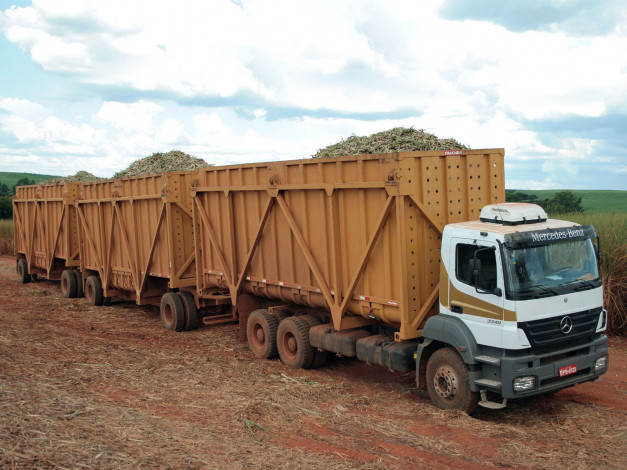 Обои картинки фото автомобили, mercedes, trucks