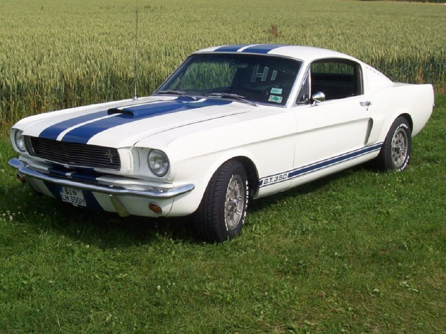 Обои картинки фото автомобили, mustang