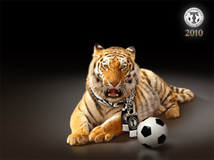 Картинка спорт футбол