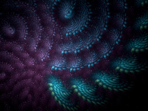 Обои картинки фото 3д, графика, fractal, фракталы, узор