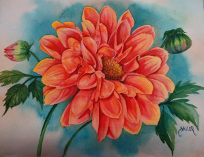 Картинка рисованные цветы георгина