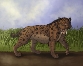 Картинка рисованные животные +тигры тигр