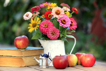 Картинка еда Яблоки цинния яблоки букет