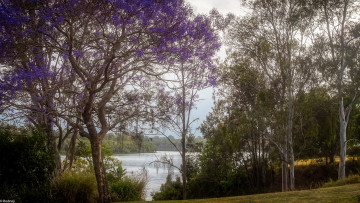 Картинка природа реки озера река небо деревья размытость