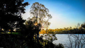 Картинка природа восходы закаты деревья солнце восход река