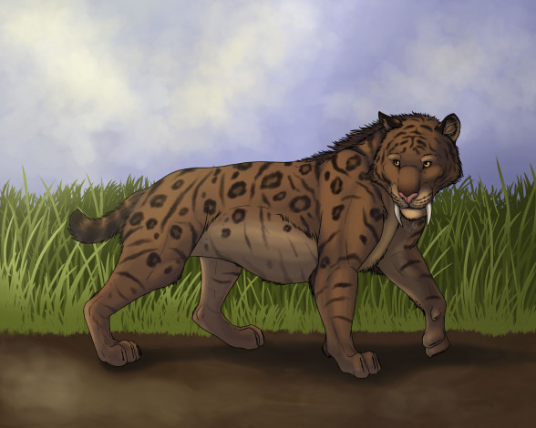 Обои картинки фото рисованные, животные,  тигры, тигр