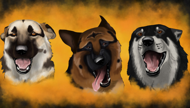 Обои картинки фото рисованные, животные,  собаки, морды