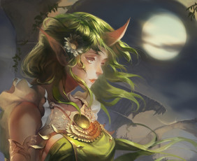 Картинка фэнтези демоны луна девушка арт soraka