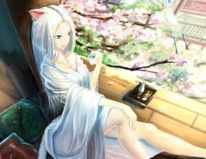 Картинка аниме kikivi+ artbook хвост ушки неко поза девушка art kikivi сакура напиток