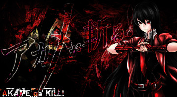 Картинка аниме akame+ga+kill акаме девушка арт