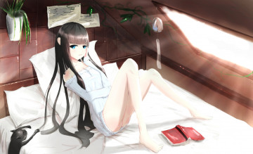 Картинка аниме kikivi+ artbook книга кошка девушка постель арт kikivi