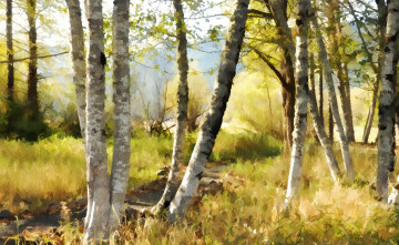 Картинка рисованное природа фон берёзы