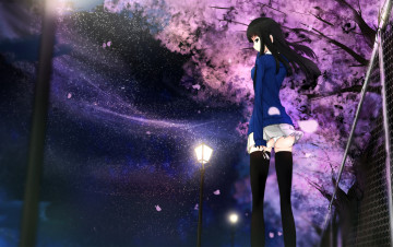 Картинка аниме kikivi+ artbook сакура девушка ночь арт kikivi