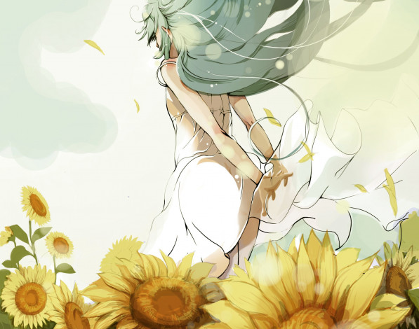 Обои картинки фото аниме, unknown,  другое, арт, подсолнухи, девушка