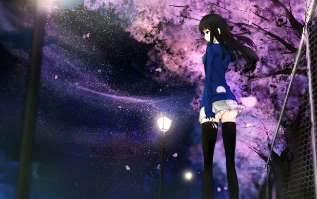 Обои картинки фото аниме, kikivi , artbook, сакура, девушка, ночь, арт, kikivi