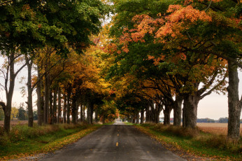 Картинка природа дороги тракт