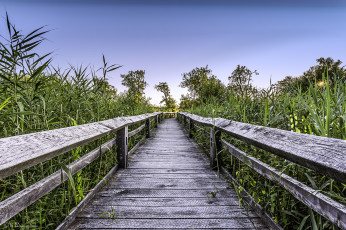 Картинка природа дороги тракт