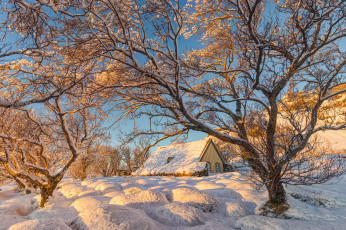 Картинка природа зима снег