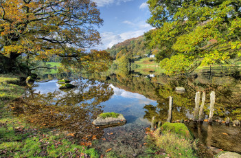 Картинка природа реки озера река лес