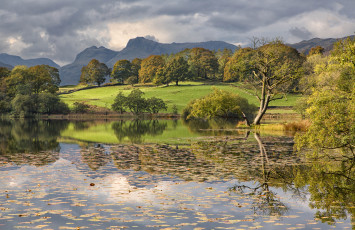 Картинка природа реки озера река лес