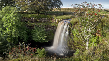 Картинка природа водопады водопад лес река