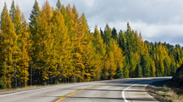 Картинка природа дороги тракт