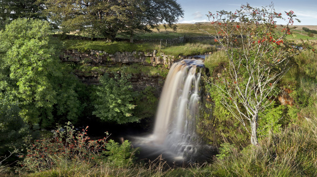 Обои картинки фото природа, водопады, водопад, лес, река