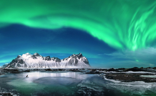 Обои картинки фото природа, северное сияние, сияние, небо, птица, море, скалы