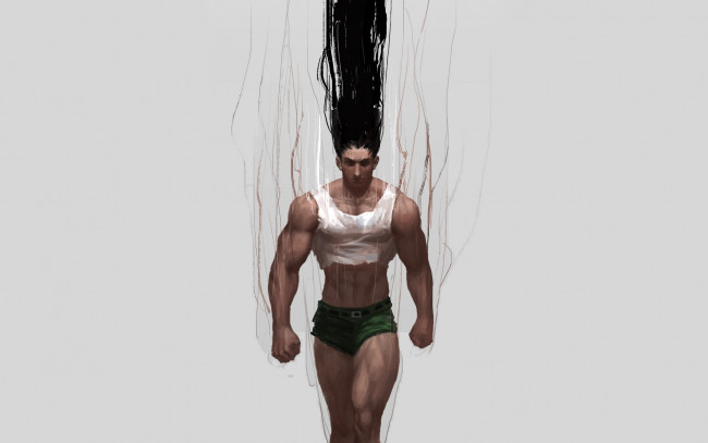Обои картинки фото аниме, hunter x hunter, gon, freaks