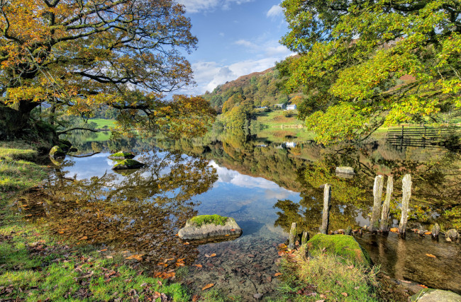 Обои картинки фото природа, реки, озера, река, лес