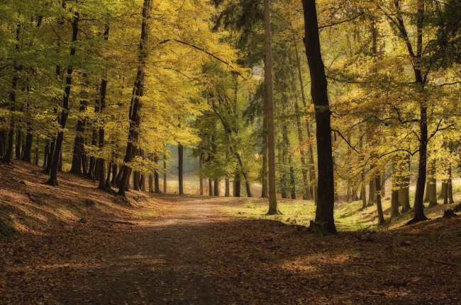 Обои картинки фото природа, дороги, тракт