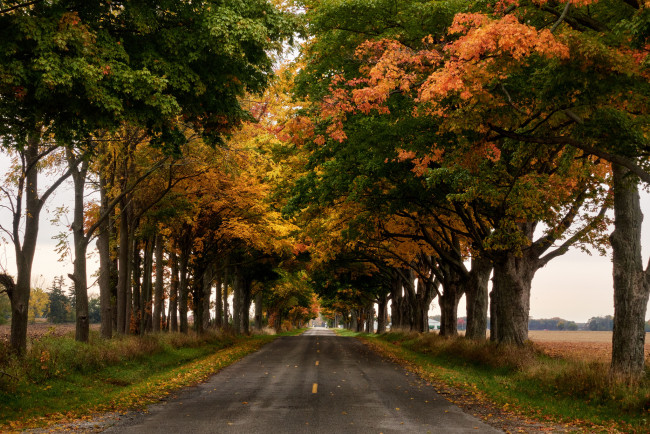 Обои картинки фото природа, дороги, тракт