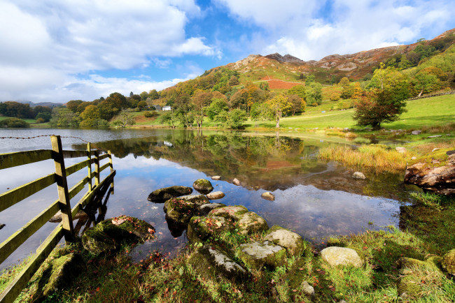 Обои картинки фото природа, реки, озера, река, лес