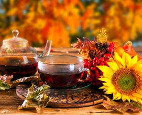 Картинка еда напитки +Чай подсолнух рябина чай шишки листья