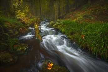 Картинка природа реки озера простор