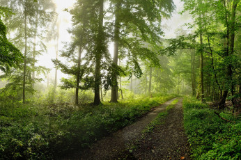 Картинка природа дороги простор