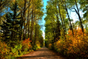 Картинка природа дороги простор