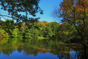 Картинка природа реки озера простор