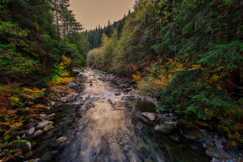 Картинка природа реки озера простор